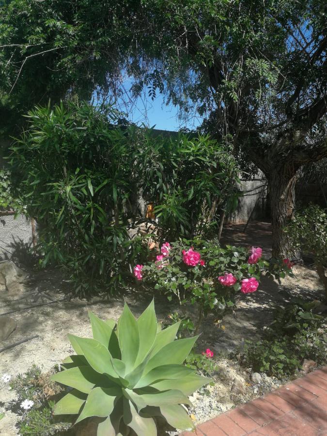 Finca San Diego, Villa Entera Para Ti Vallonga 外观 照片