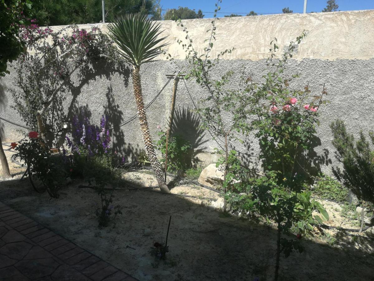 Finca San Diego, Villa Entera Para Ti Vallonga 外观 照片